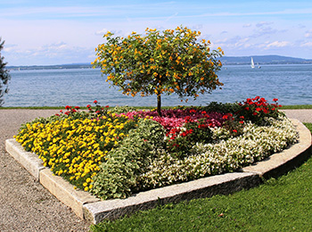 Progettazione e Realizzazione giardini privati e pubblici, aree verdi, parchi - Fabbri Vivai Arezzo, Firenze, Siena, Perugia