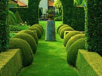 Progettazione e Realizzazione giardini privati e pubblici, aree verdi, parchi - Fabbri Vivai Arezzo, Firenze, Siena, Perugia